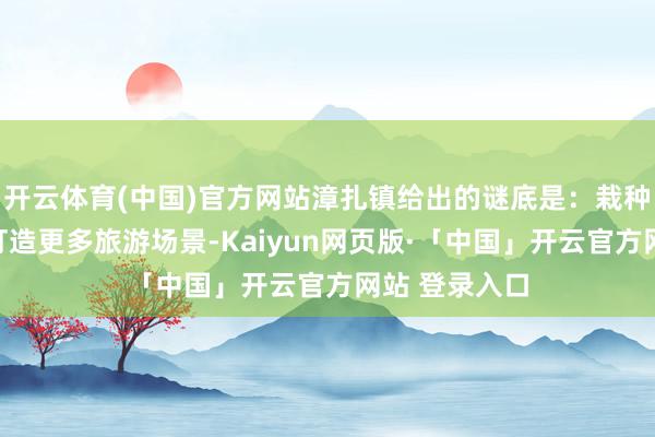 开云体育(中国)官方网站漳扎镇给出的谜底是：栽种更多业态、打造更多旅游场景-Kaiyun网页版·「中国」开云官方网站 登录入口